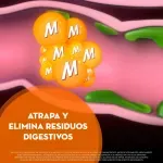 000000000070692940-UN-04