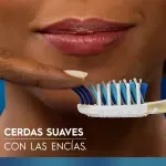 000000000075295255-UN-08