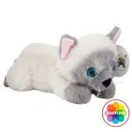 000000000075484547-UN-01
