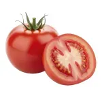 000000000075268253-KG-01