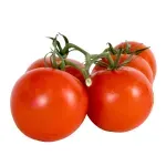 000000000075268253-KG-02