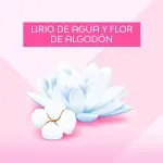000000000070199094-UN-03