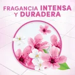 000000000075062344-UN-03