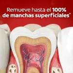 000000000075484085-UN-03