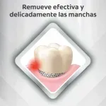 000000000075306999-UN-06