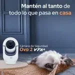 000000000075517763-UN-06