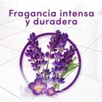 000000000070053979-UN-03