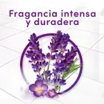 000000000001383566-UN-04