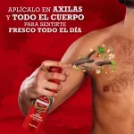 000000000075335415-UN-02