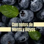 000000000075535676-UN-05