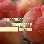 000000000075535674-UN-05