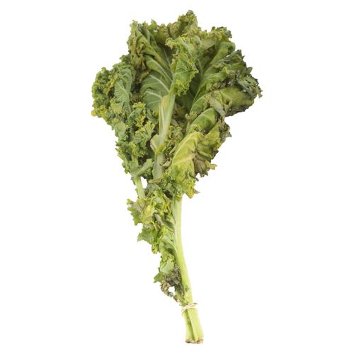 Hoja Kale Verde O Blanca