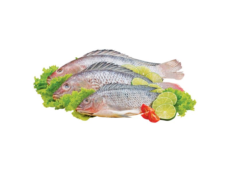 Tilapia-Altamar-De-Entera-Escamada-1Kg-1-44701