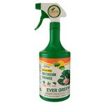 FERTILIZ-EVERGREEN-MULTIACCION-1-L-3-40930