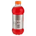 Gatorade-Fruit-Punch-600Ml-2-33007