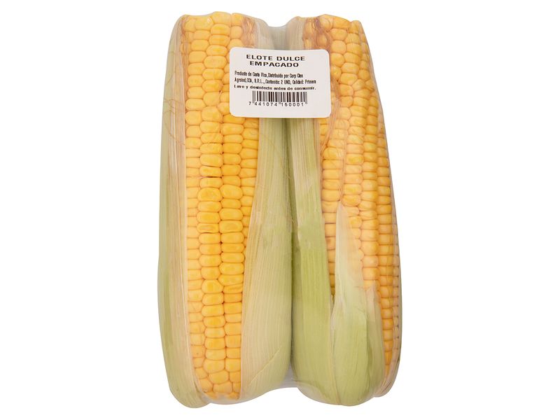 000000000070404368-UN-01