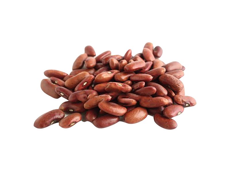 Frijol-Hortifruti-Tierno-Malla-500gr-Frijol-Hortifruti-Tierno-Malla-500Gr-1-36286