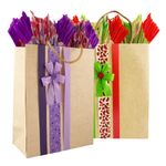 Bolsa-Mediana-Kraft-Decorada-5-25460