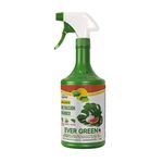 Fertilizante-Evergreen-Multiaccion-1lt-1-40930