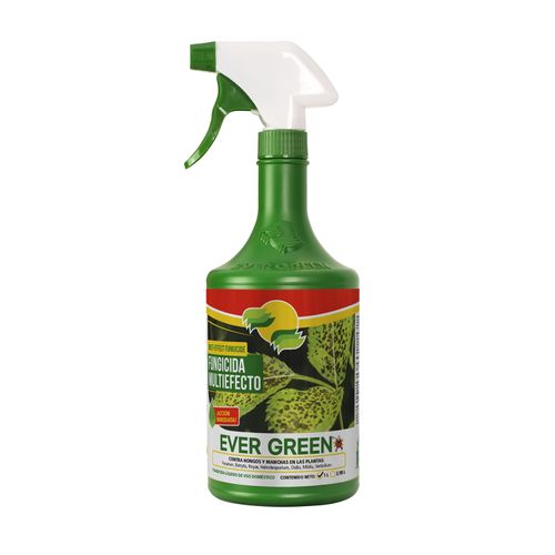 Plaguicida Líquido Ever Green Fungicida Multiefecto - 1Lt