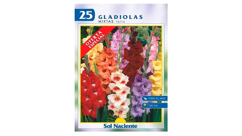 Comprar Oferta Paquete 25 Bulbos Gladiola Colores Mixtos 12/14 | Walmart  Costa Rica