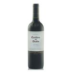 Vino-Casillero-Del-Diablo-Malbec-750ml-1-26454