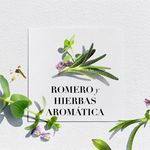 Shampoo-Herbal-Essences-Bio-Renew-Rosemary-Herbs-400-Ml-4-26684