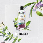 Shampoo-Herbal-Essences-Bio-Renew-Rosemary-Herbs-400-Ml-5-26684