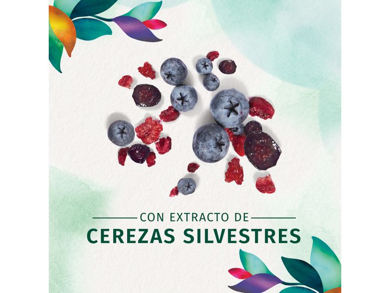 Shampoo-Herbal-Essences-3-En1-Curvas-Peligrosas-300ml-3-27667