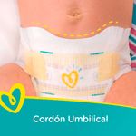 Pa-al-Pampers-Desechable-Swadlers-T0-31-Unidades-8-26913