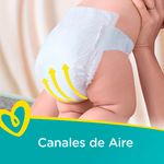 000000000070316193-UN-02