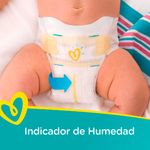 000000000070316193-UN-04