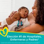 000000000070316196-UN-08