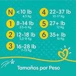 Panalpampers-Baby-Dry-Talla-2-Jumbo-37-3-32848