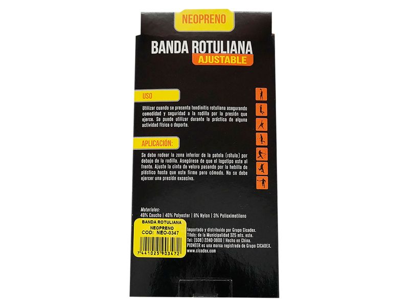 Banda-Pioneer-Rotulina-4-28957