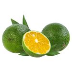 Limon-Mandarino-Unidad-1-58198