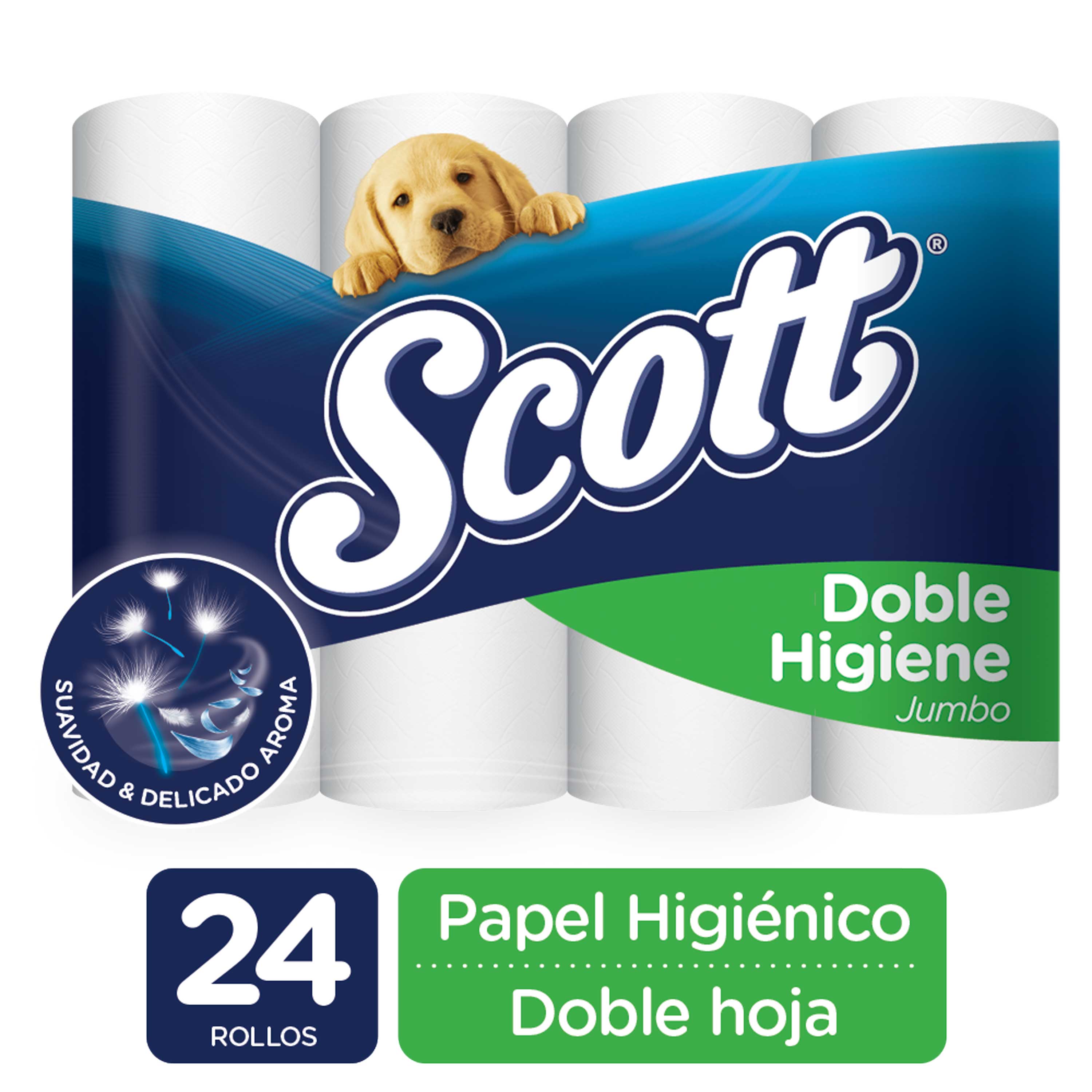 Dependiente alquitrán conducir Papel Higiénico Scott Doble Higiene Doble Hoja - 24 Rollos