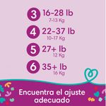 Pa-ales-Desechables-Pampers-Cruisers-Talla-5-52-Unidades-6-28121