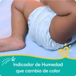 Panalpampers-Baby-Dry-Talla-4-Jumbo-28-3-63513