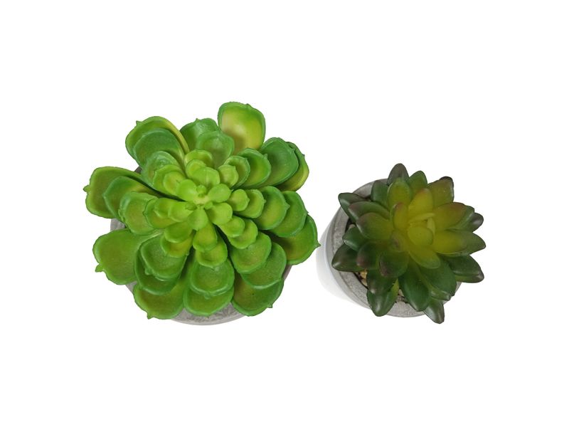 Suculentas-Con-Base-De-Barro-Gris-3-54141