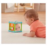Cubo-Fisher-Price-Animalitos-4-68725