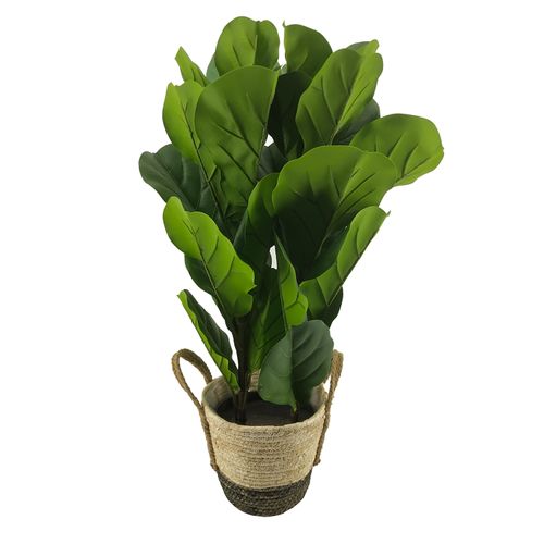 Msg Planta Larga 75Cm Con Base De Mimbre