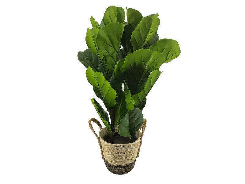 Msg-Planta-Larga-75Cm-Con-Base-De-Mimbre-1-68058