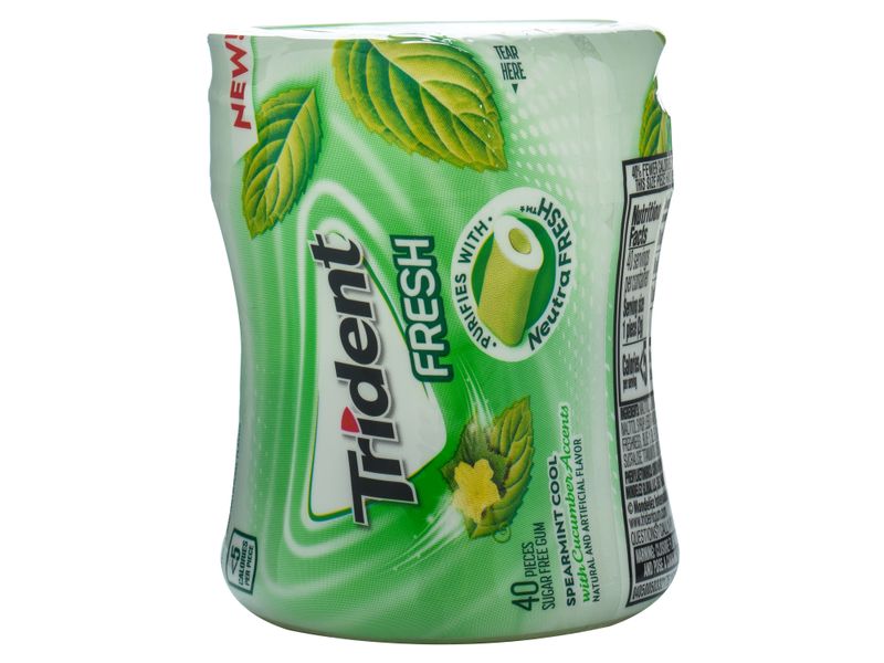 Chicle-Spearmint-Trident-40-unidades-1-69398