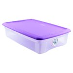 Caja-Uchosa-Organizadora-Surtido-Colores-30lt-2-28493