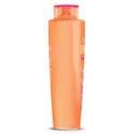 Shampoo-Elvive-Dream-Long-400-Ml-3-35640