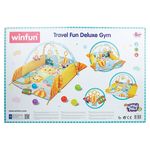 Gimnasio-Deluxe-Con-Pelotas-Winfun-6-68778