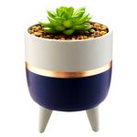 Mgs-Macetera-Con-Planta-Azul-Con-Dorado-2-68061