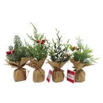 Arbolito-Decorativo-25Cm-2-70977
