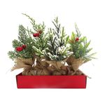 Arbolito-Decorativo-25Cm-1-70977